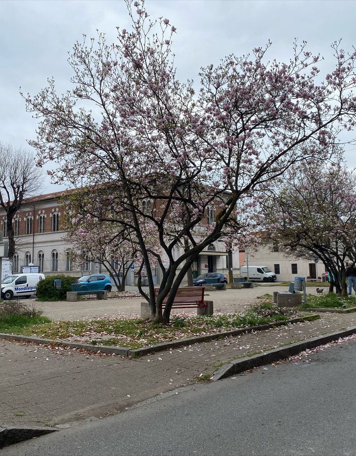 FOTO. A Fagnano prove di primavera