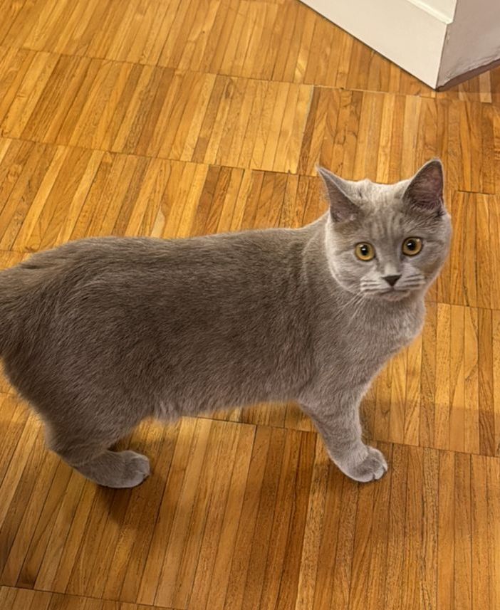 Ginny è stata ritrovata