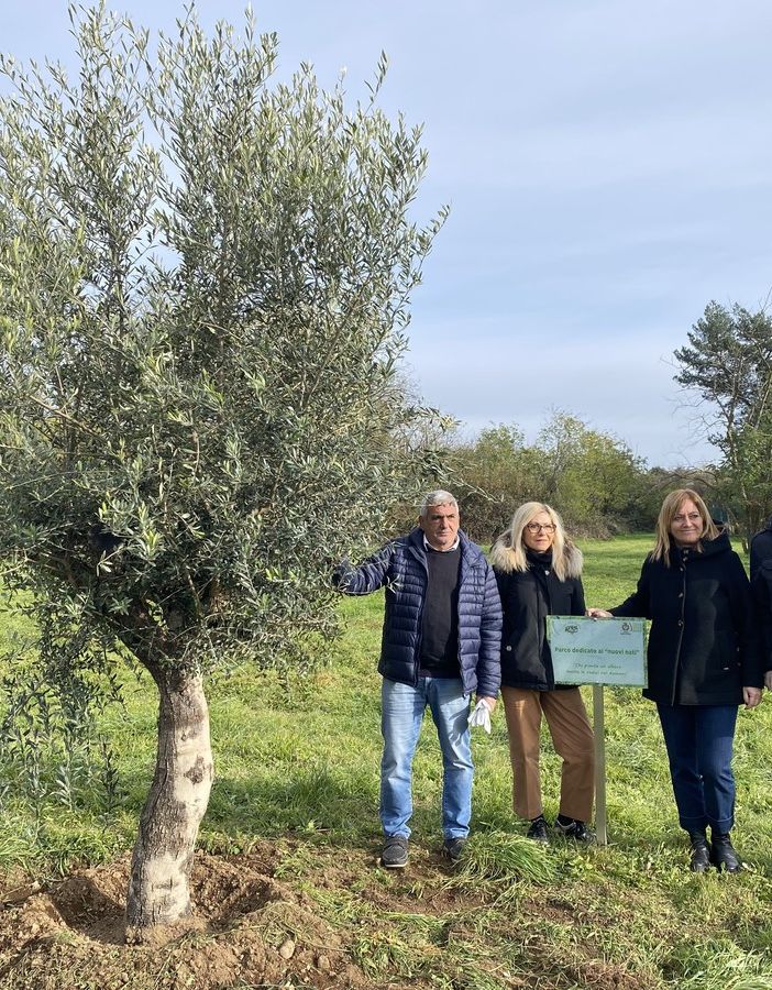 “Le radici nel domani”: cinque alberi al Parco De Curtis per celebrare i nuovi nati di Busto
