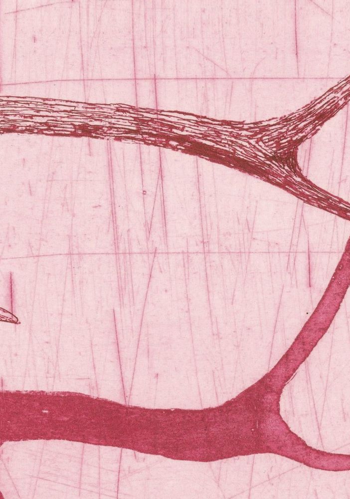 Natura e poesia con Francesca Matteoni alla “Cristina Moregola Gallery” di Busto