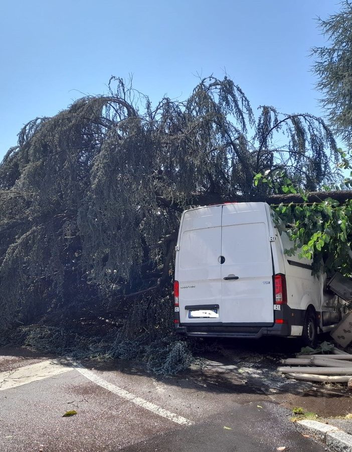 FOTO. Tempesta su Gallarate: sottopassi allagati e alberi a terra