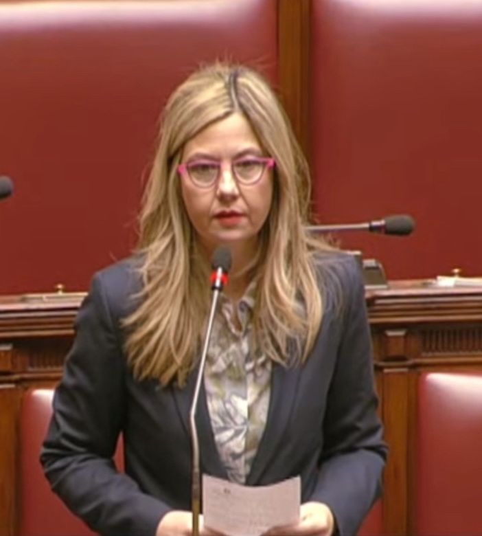 Milleproroghe, Gadda: «Semplificare regime Iva Terzo settore»