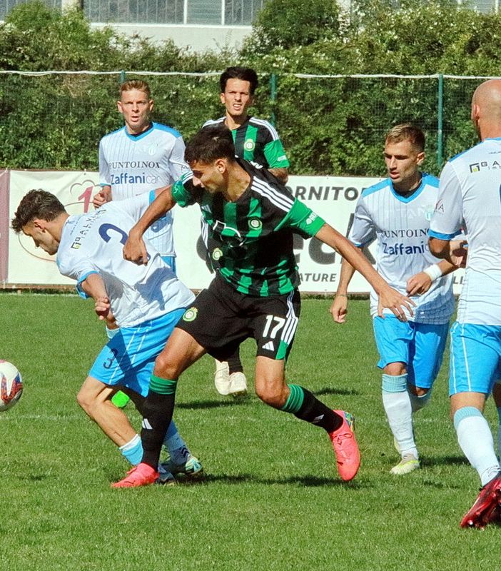 Serie D: accolto il ricorso, la Castellanzese ottiene la vittoria contro il Vigasio