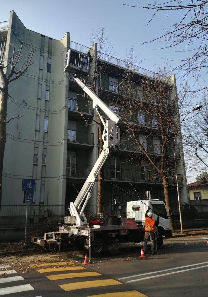 Castellanza avvia la manutenzione straordinaria del verde. Più di cento interventi per due mesi di lavori