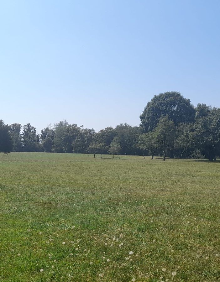Il parco della Magana diventerà vetrina per lo sport a Cassano