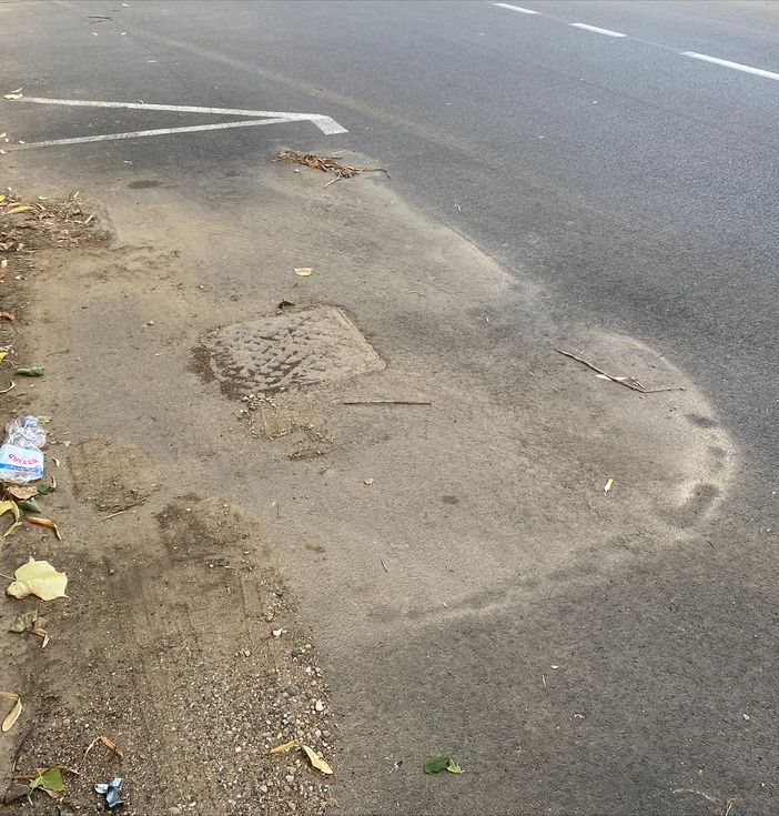 BUSTO, LA SEGNALAZIONE. Via Varese e quei bordi strada sempre più sporchi