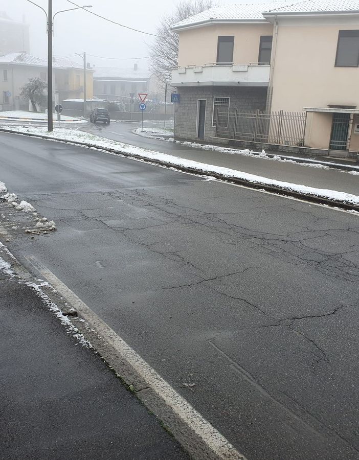 Viale Boccaccio a Busto Arsizio