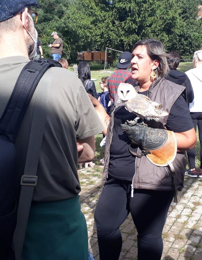 Nella giornata conclusiva, molto apprezzato lo spettacolo di falconeria