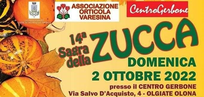 Olgiate Olona: tempo di Sagra della zucca