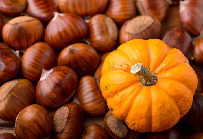 Spadroneggiano zucca, castagne e musica. Gli APPUNTAMENTI DEL WEEKEND a Busto e in Valle Olona