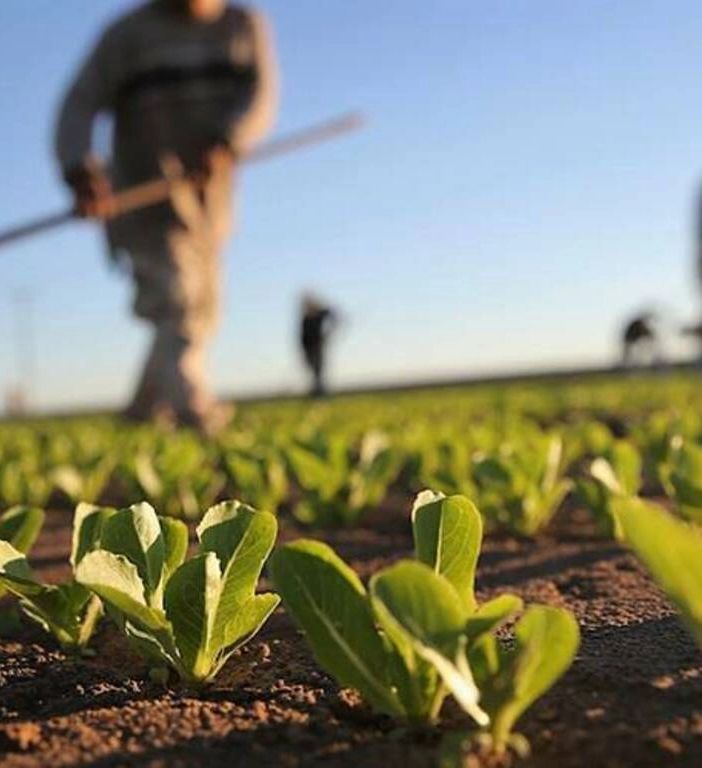 Agricoltura, rinnovato il contratto provinciale per Varese: aumenti del 6%