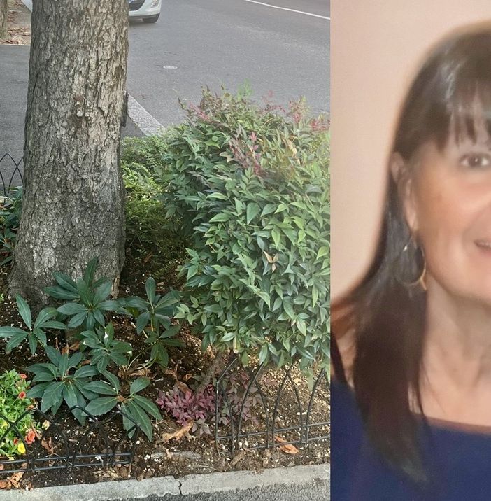 LA STORIA. Quell'aiuola speciale che ricorda Lauretta e invita a prendersi cura del proprio rione