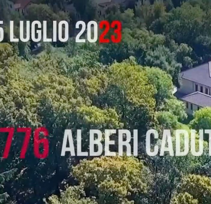 I 4.776 alberi caduti e il grande cuore dei milanesi