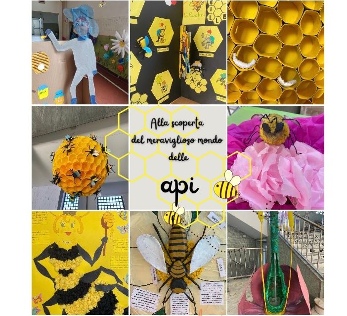Giornata mondiale dell’ape, una mostra alla primaria De Amicis