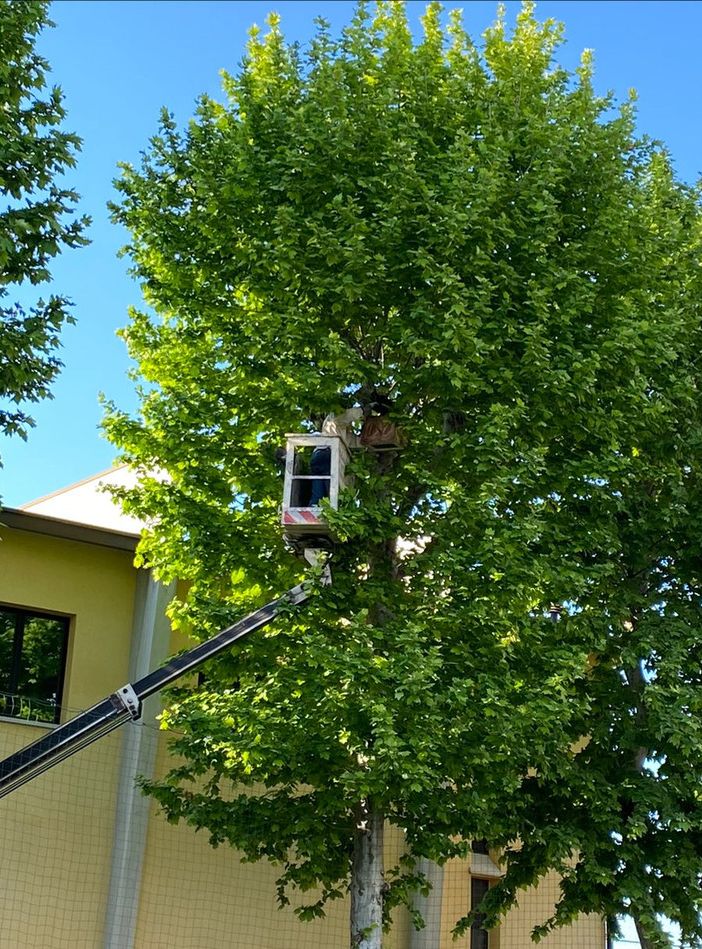 Si ringrazia Simone Orsi per la foto