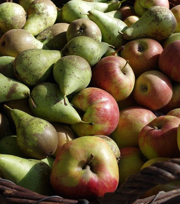 Dalla campagna i consigli detox per tornare in forma dopo le feste