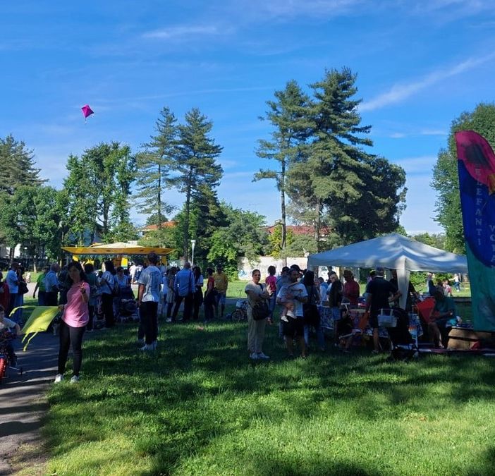 FOTO. Il cielo si &quot;colora&quot; di aquiloni a Olgiate. Tra tanta felicità e una lezione importante