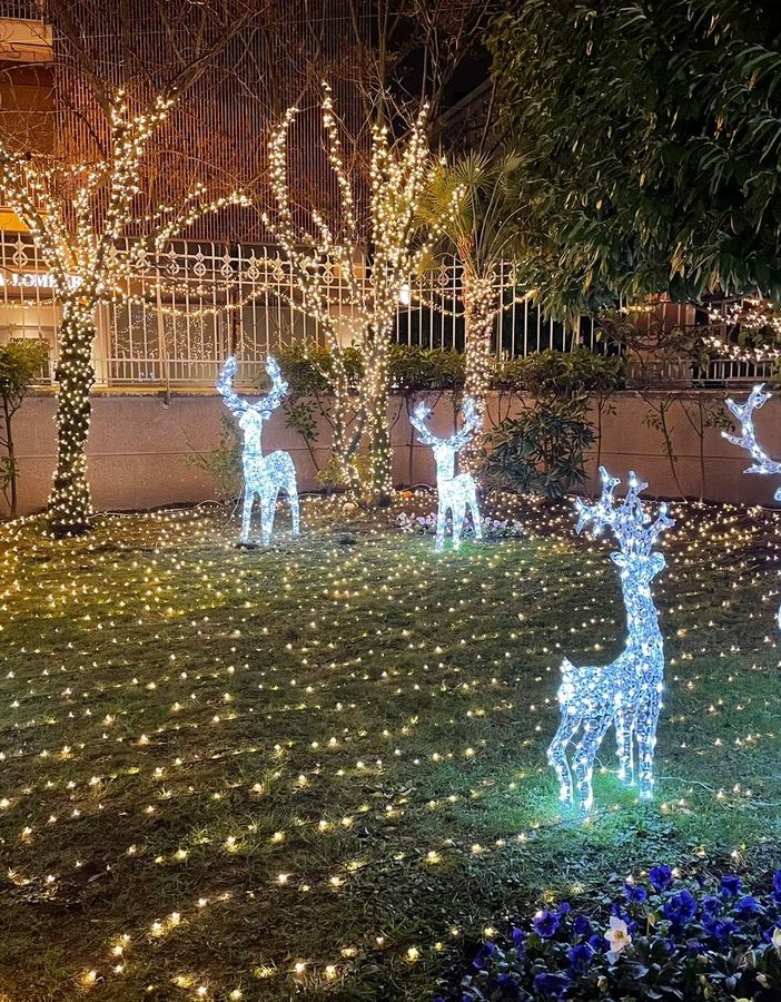 La magia del Natale prende casa, anzi luce a Busto Arsizio. VIDEO E FOTO