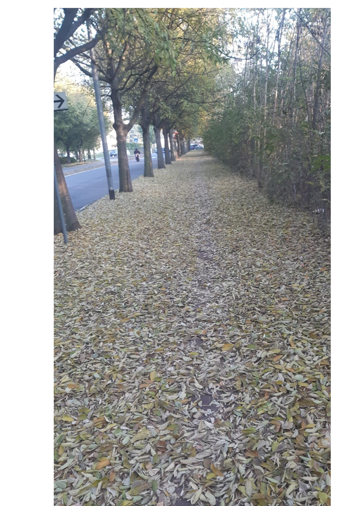 «Pista ciclabile nella natura. Pure troppo»