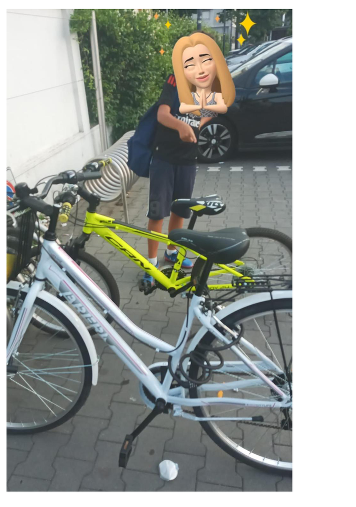 La foto postata dalla donna nell'appello: la sua è la bici bianca