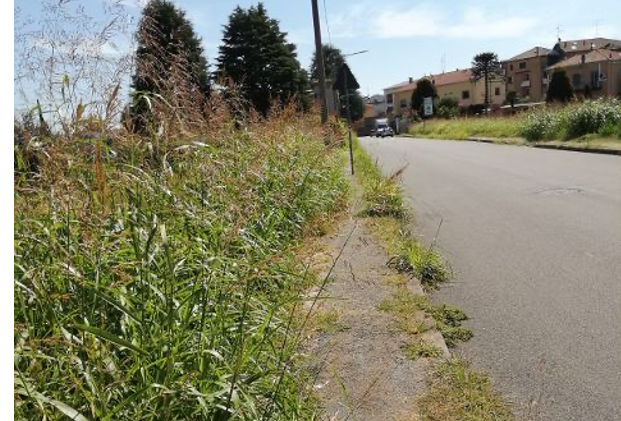 La foto inviata da Sergio Moriggi di via Bonsignora