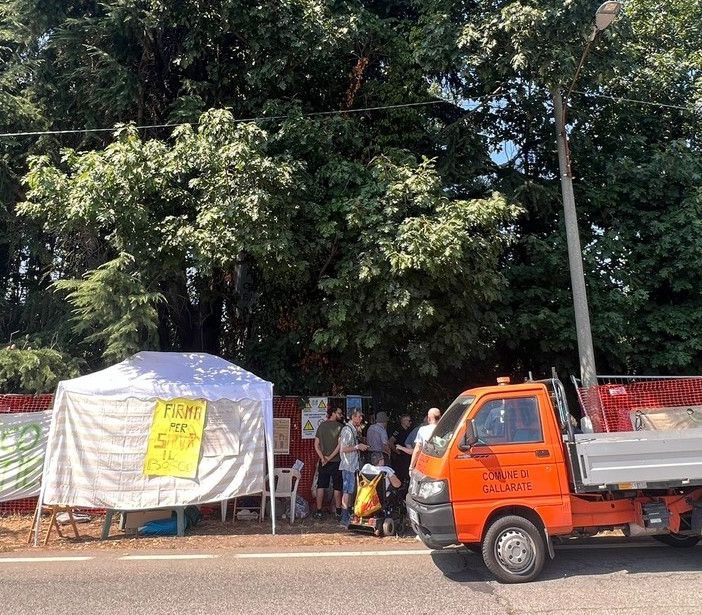 FOTO. Gallarate, bosco di via Curtatone: smantellati i manufatti abusivi all’interno dell’area