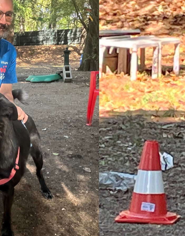 Brigitta e Elena due magnifiche cagnoline che cercano casa