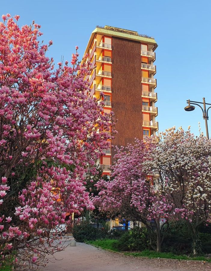 Busto, primavera in anticipo davanti alle Poste