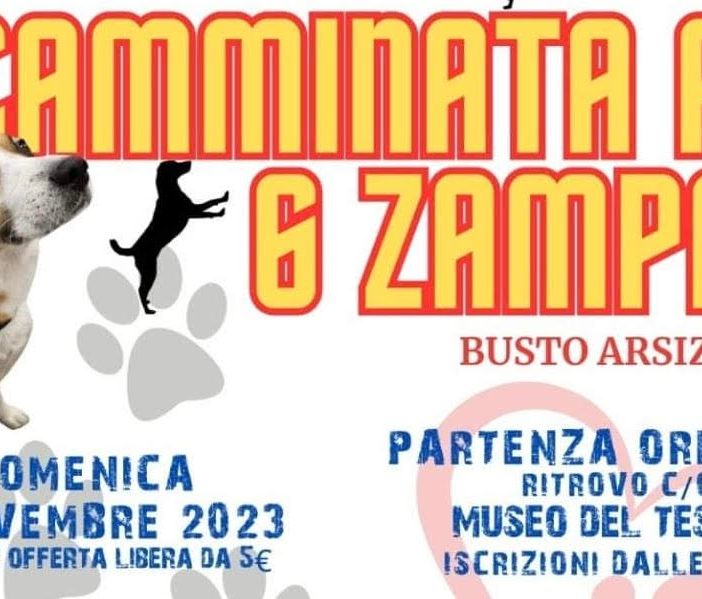 Una camminata a sei zampe. E anche benefica