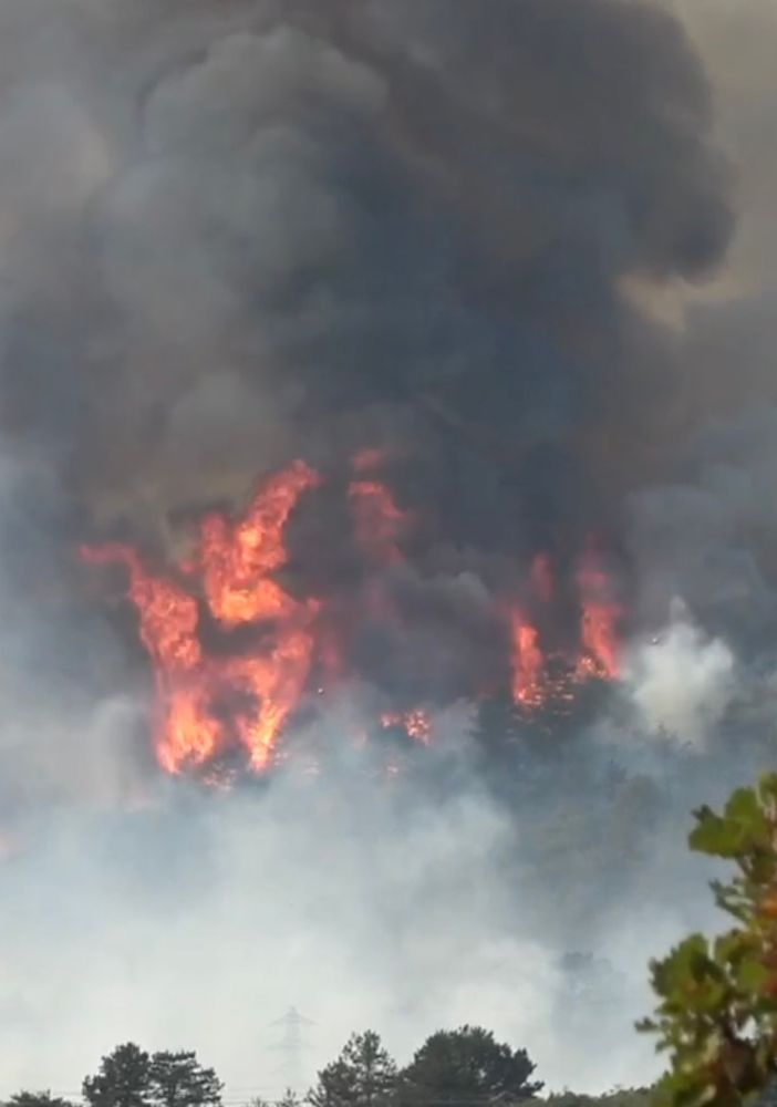Vigili del fuoco in azione senza sosta: sul Carso roghi non ancora sotto controllo