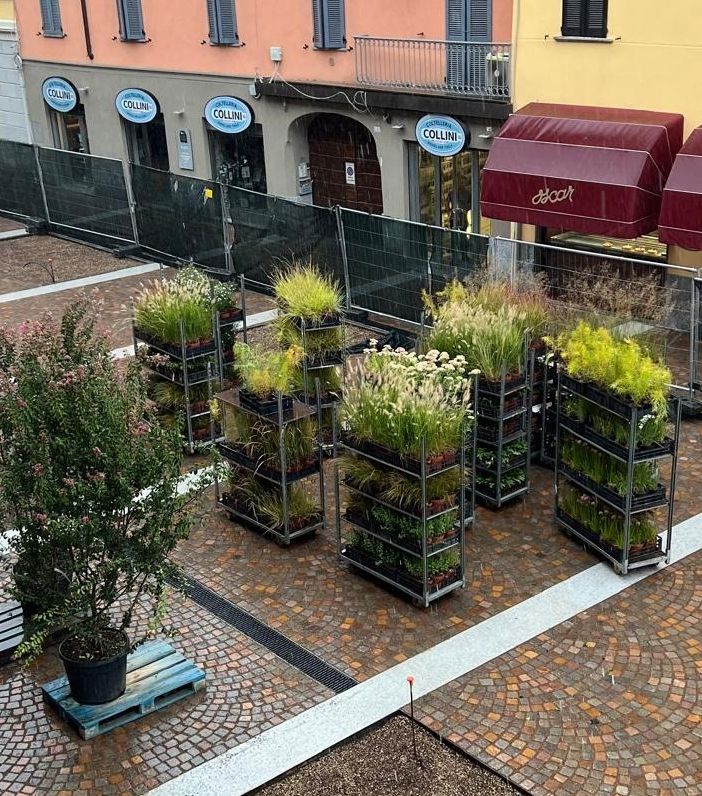 Via Cavallotti, arrivano le piante. Al lavoro sotto la pioggia