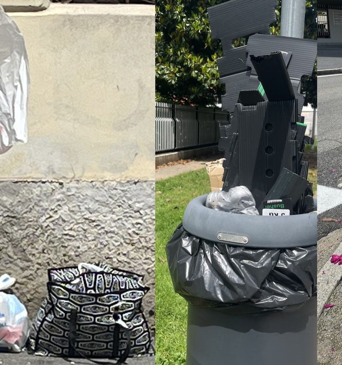 FOTO. Cestini invasi dai rifiuti: ci siamo arresi agli incivili?