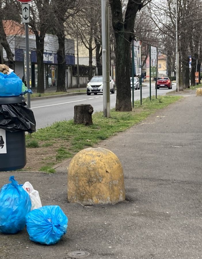 Un cestino in viale Virgilio, ripetutamente nel mirino