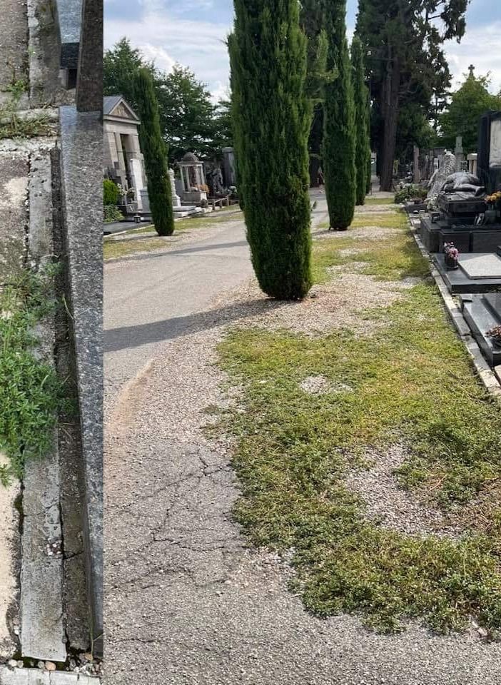 La protesta per lo stato del cimitero di Busto: «Totale noncuranza»