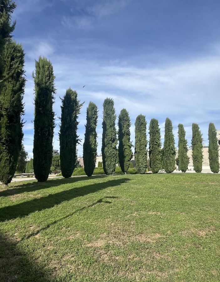 Il cimitero di Busto