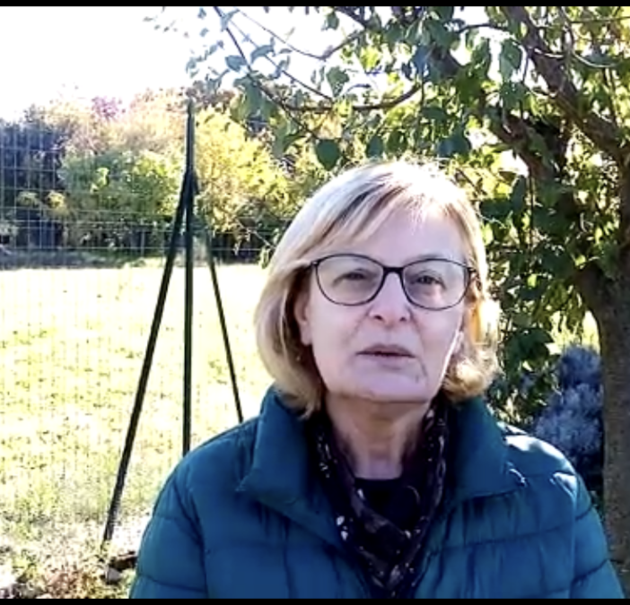 Il Pd: «Proposte concrete ne abbiamo, caro sindaco. Eccone una sul trasporto scolastico a Busto»