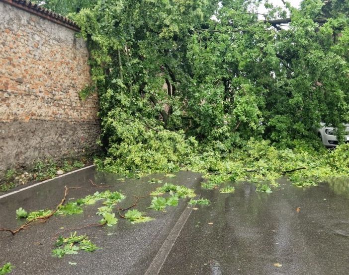 foto dalla pagina del Comune di Cesano Maderno