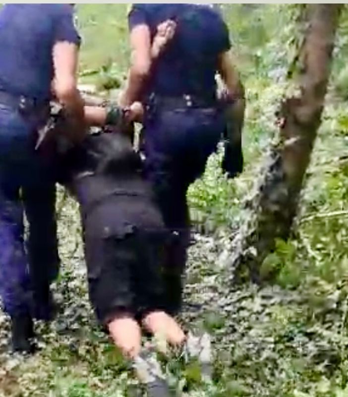 Giorni di tensione nel bosco di Gallarate