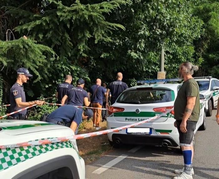 Gallarate, &quot;cadono&quot; gli alberi di via Curtatone