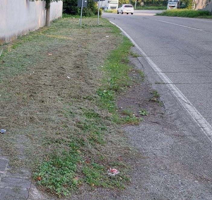 Sos verde: «A Olgiate accumuliamo sempre problemi quando basterebbe usare il buon senso»