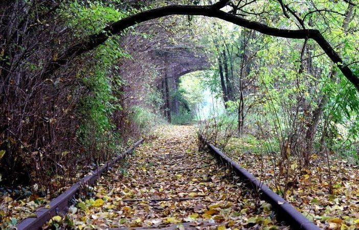 Da Regione 10 milioni per il ripristino della Ferrovia turistica della Valmorea