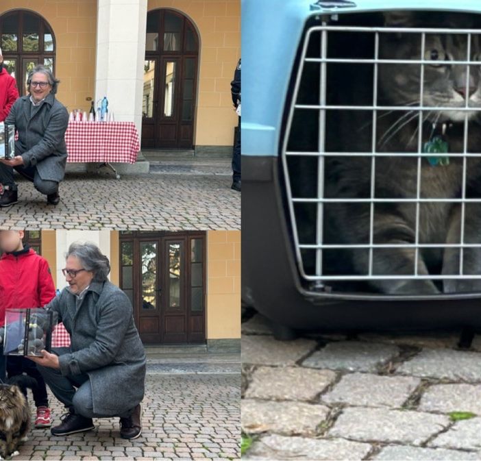 Festa del gatto a Olgiate, premiati i vincitori del concorso “Io e il mio gatto”