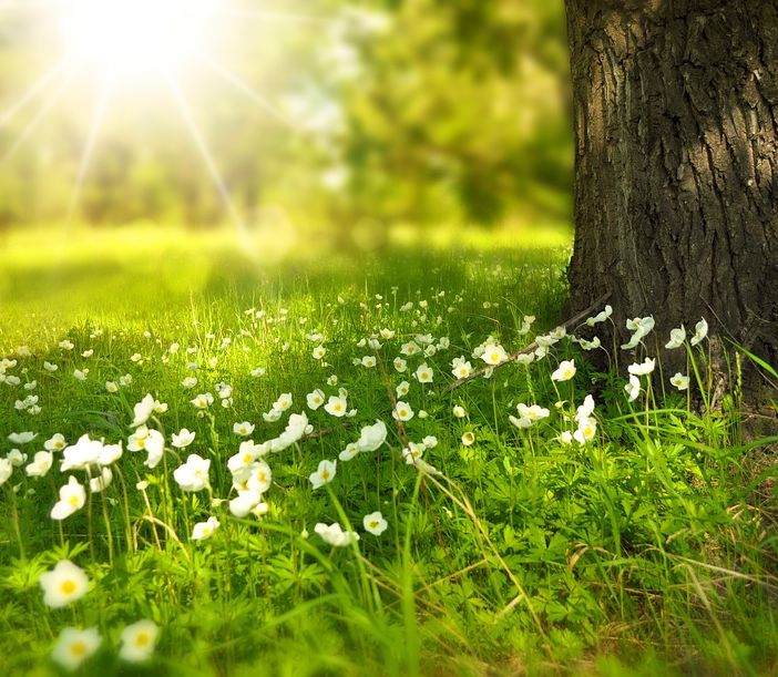 Inizia un weekend baciato dal sole e fioriscono gli appuntamenti