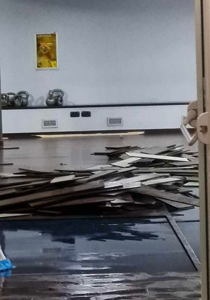 foto di un lettore