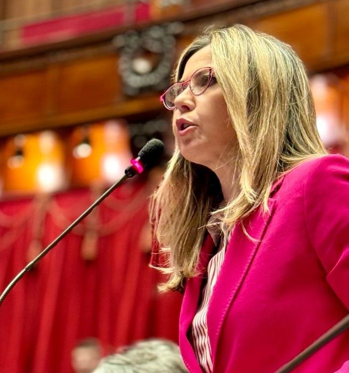 Codice strada, Gadda: «Il no del governo al fondo per strisce blu disabili è un errore»