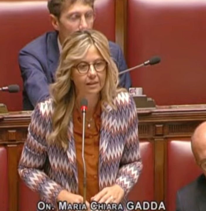 Ddl sicurezza, Gadda: «Governo cancella settore canapa industriale»