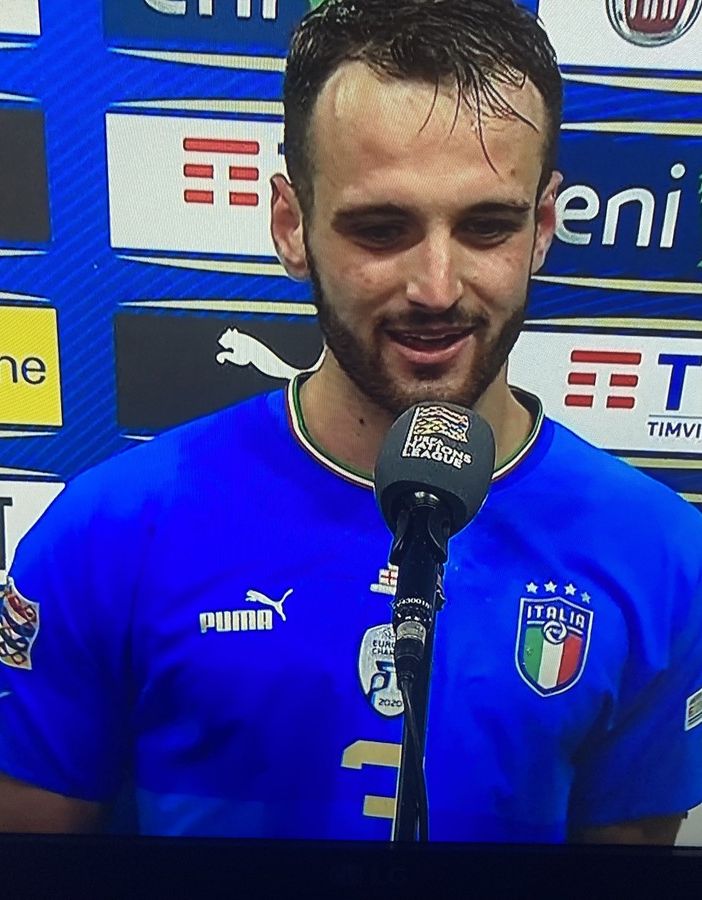 foto di archivio - Gatti con la maglia nazionale