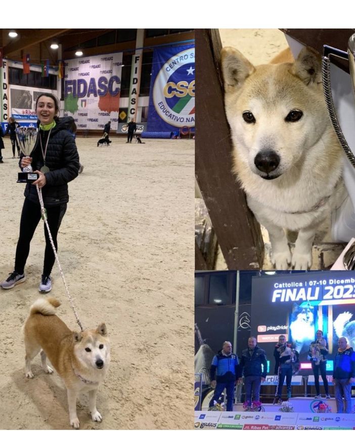 Giulia e Yumi, un legame speciale: così il titolo nazionale di agility arriva a Busto
