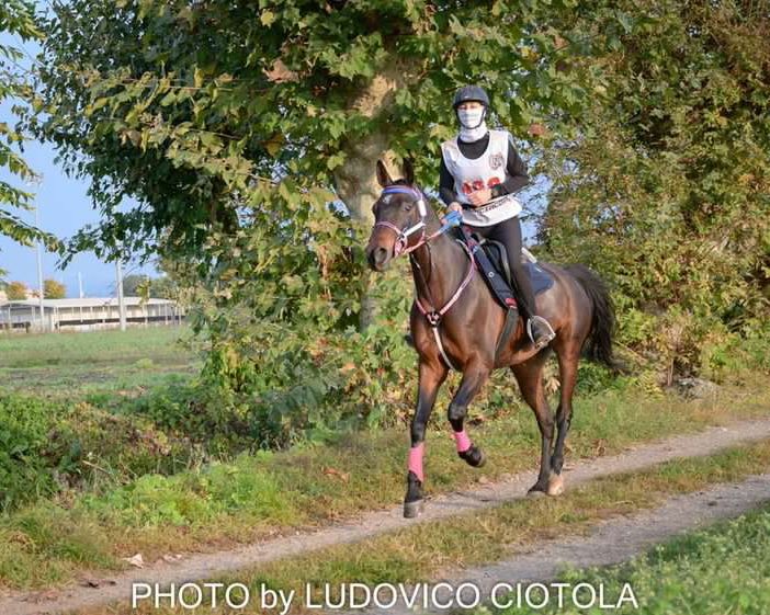 La campionessa di endurance Letizia Milani fa volare Busto negli Emirati Arabi
