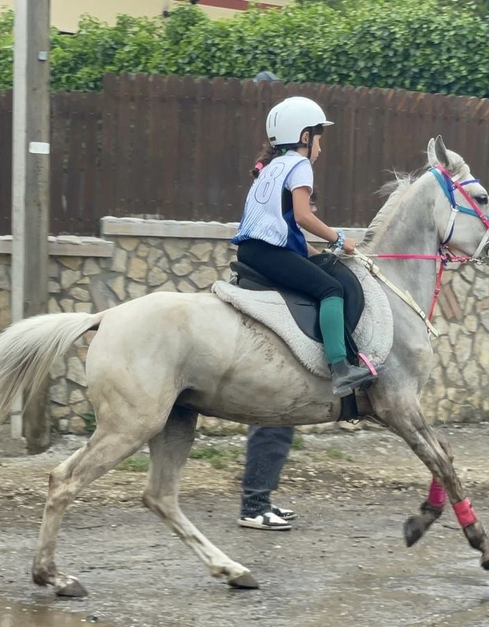 Ancora successi nell’endurance equestre per la Scuderia Esse Ci